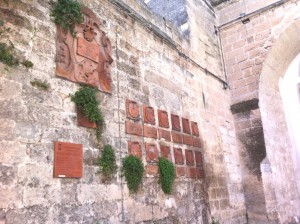 Porta San Giorgio Parietaria 3