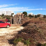 Pira San Ciro 2015 – 06 gen – 06