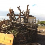 Pira San Ciro 2015 – 06 gen – 08