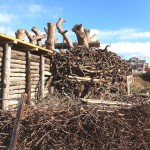 Pira San Ciro 2015 – 08 gennaio 15