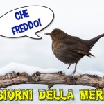 giorni della merla