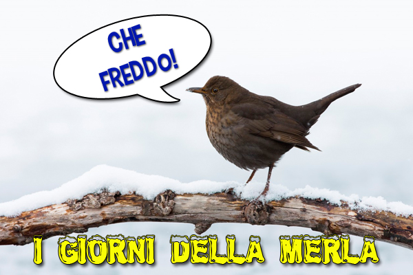 giorni della merla