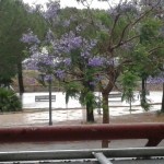 Piazza Unicef allagata 2