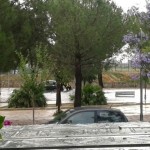 Piazza Unicef allagata 4
