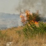 Incendio autobus 15