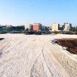 allestimento-area-san-ciro-2016