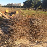 san-ciro-costruzione-focra-2016-5