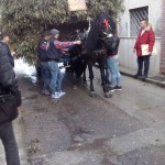 San Marzano Processione San Giuseppe 2016 4