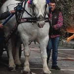 San Marzano Processione San Giuseppe 2016 5