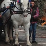 San Marzano Processione San Giuseppe 2016 5