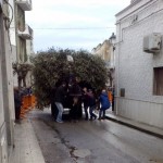 San Marzano Processione San Giuseppe 2016 6