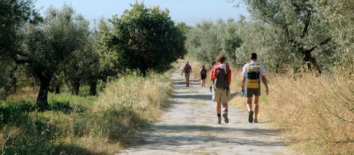 via francigena pellegrini pellegrinaggio