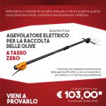 promo-olivion-2