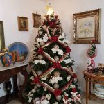 2016-3-famiglia-albero-famiglia-annarosa-xena-delia-grottaglie