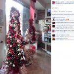 albero-attivita-2016-11