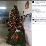 albero-attivita-2016-4