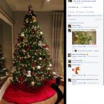 albero-famiglia-5