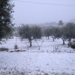 neve