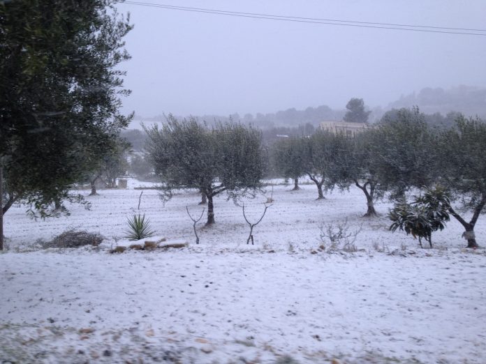 neve