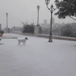 neve-piazza-san-francesco