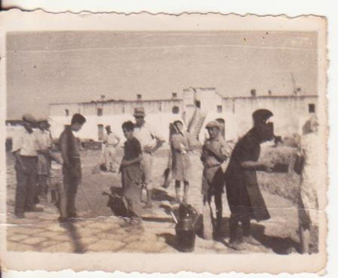 parenti sull'aia primi anni '50