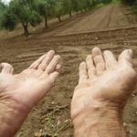 lavoro agricolo sociale beni comuni 3