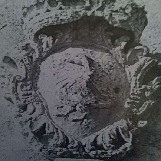 stemma cicinelli