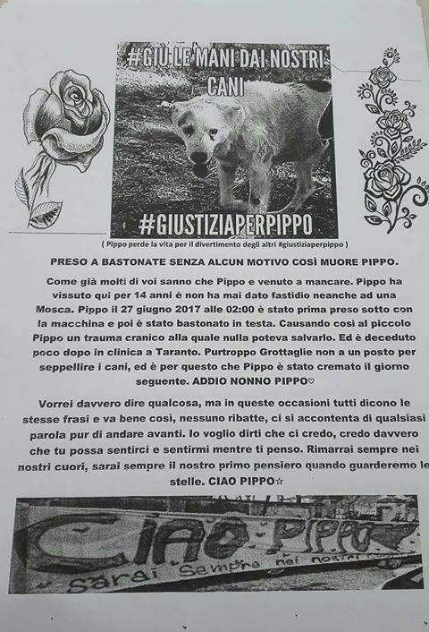 ciao pippo