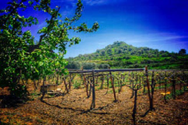 monte salete