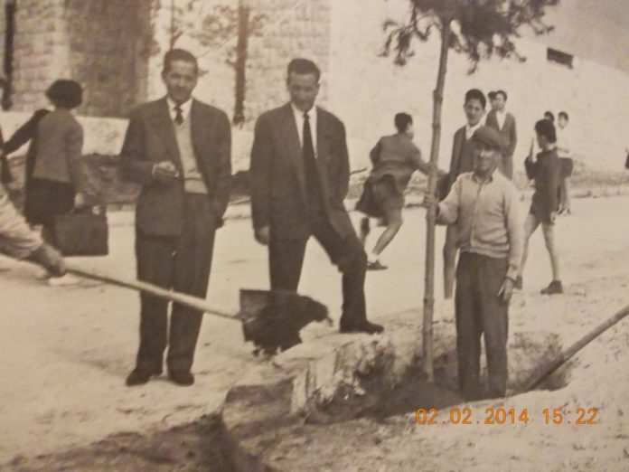 festa degli alberi