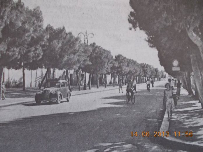 viale matteotti