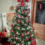 albero famiglia 2017