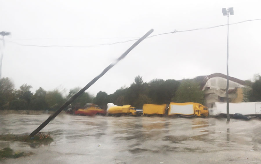 VIDEO Grottaglie sotto la Bufera. Danni per il Maltempo. Pali e rami abbattuti - Grottaglie in rete