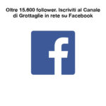 gir-facebook