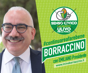 banner-regionali-borraccino-300×250