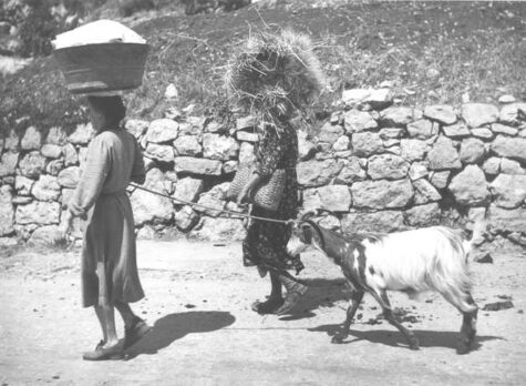 contadini