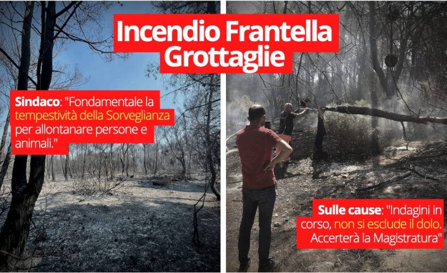 Progetto senza titolo-4