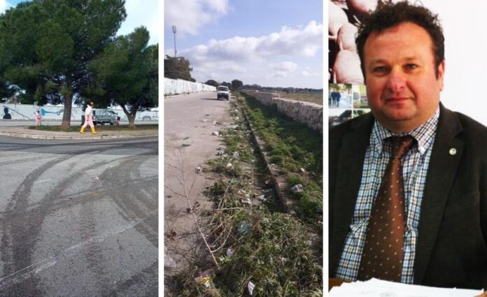 maurizio stefani lavori sfalcio erba