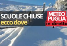 NEVE PUGLIA scuole chiuse