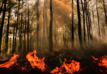 Incendio