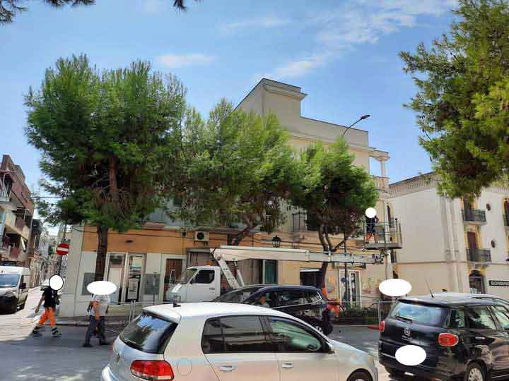 viale-matteotti-alberi