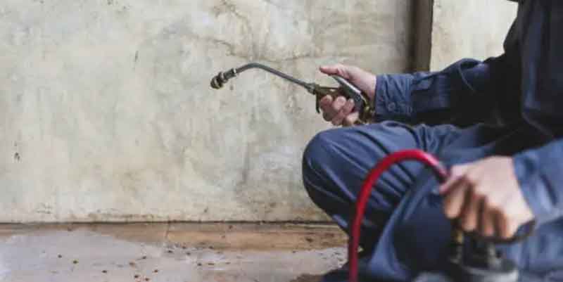 derattizzazione e deblattizzazione a Grottaglie